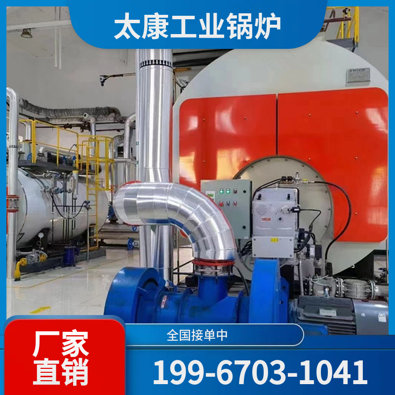 黔南燃煤导热油锅炉