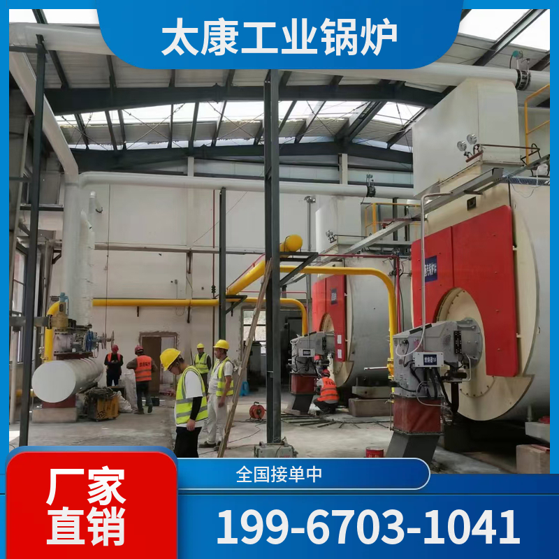 黔南低氮燃气锅炉